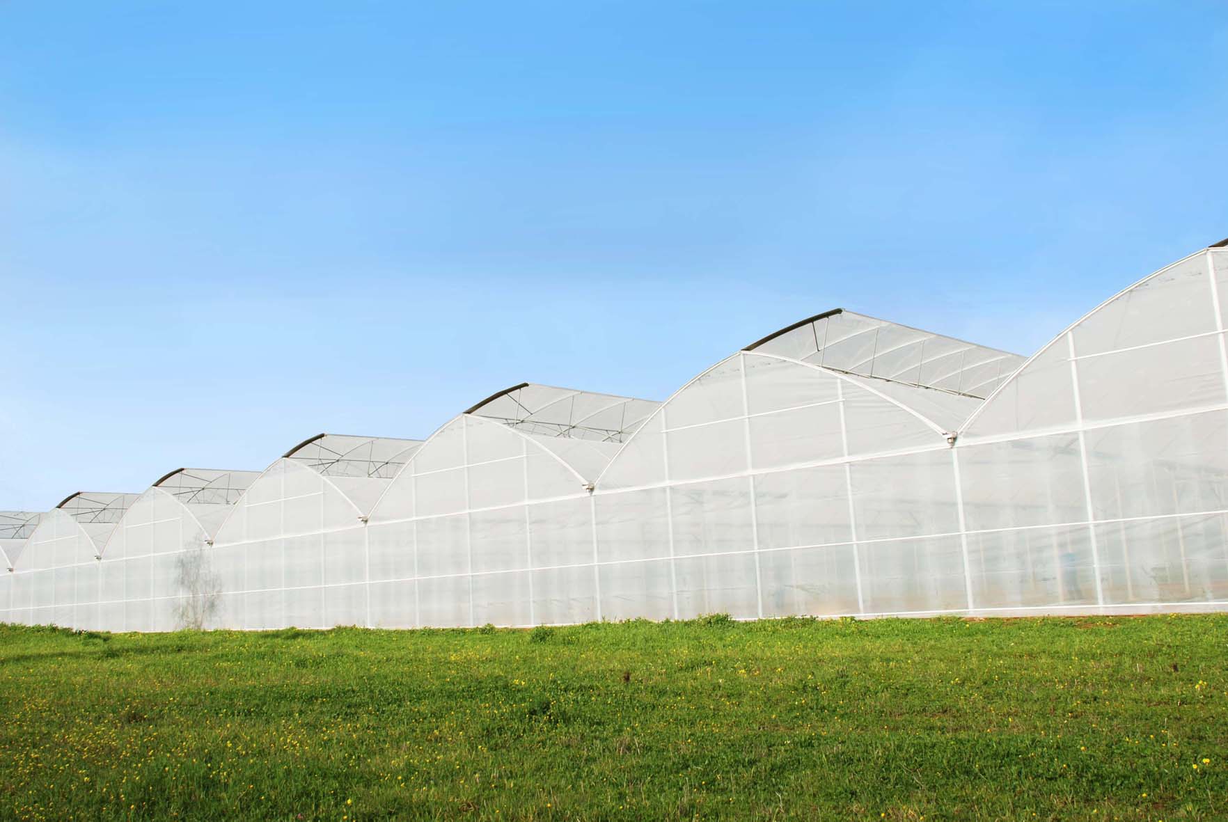 Spanish-Gothic-Greenhouse-image